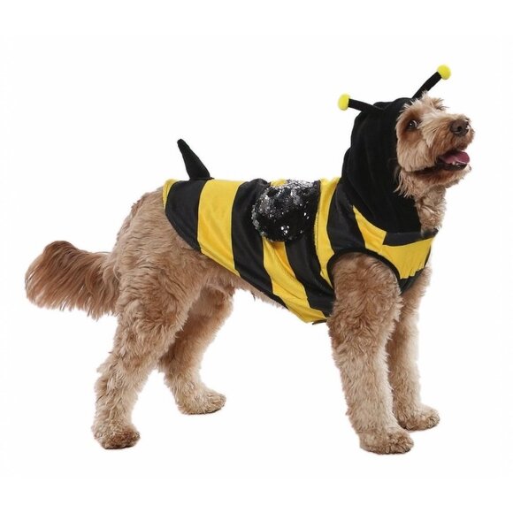 Vibrant Life Halloween Dog Costume and Cat Costume: Bumble Bee, Size Medium - Picture 3 of 6